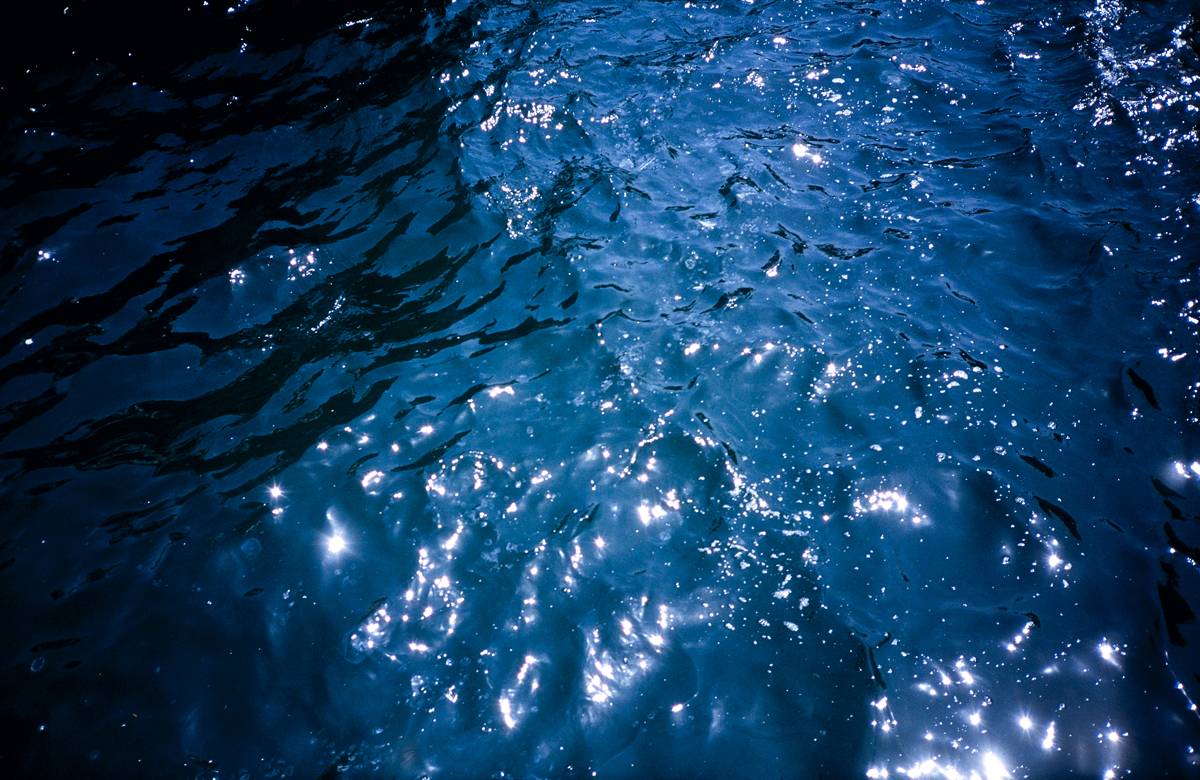 meduse2_tirage1